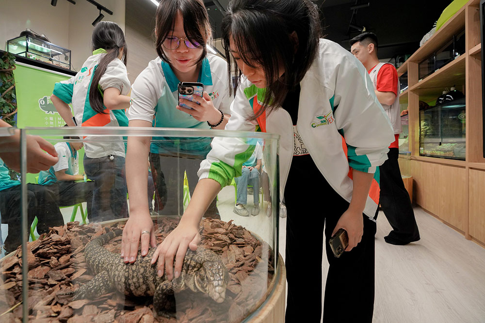 參觀室內互動動物體驗館—小小寵物園-活動花絮3